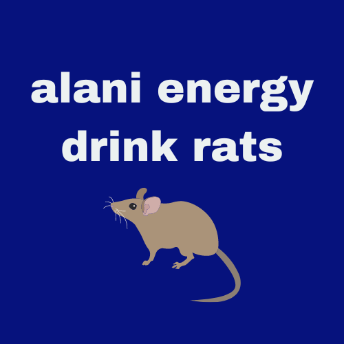 Alani Energy Drink Rats An Insight into Safety and Ingredients